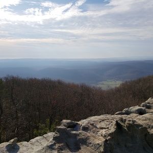 Meet your Posher, Bobby